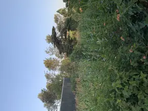 50*100 Land for Lease
