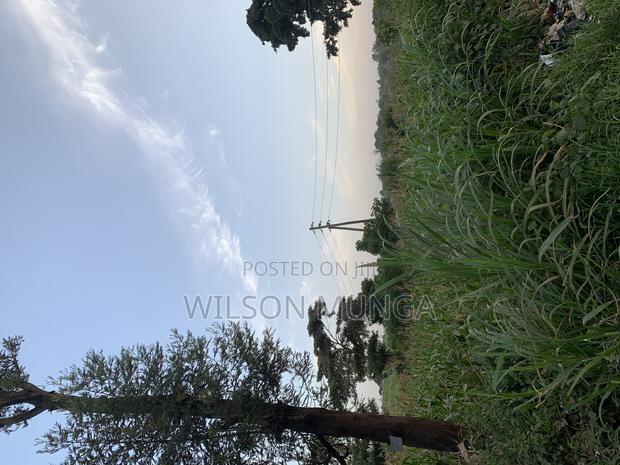 50*100 Land for Lease - thumbnail 3
