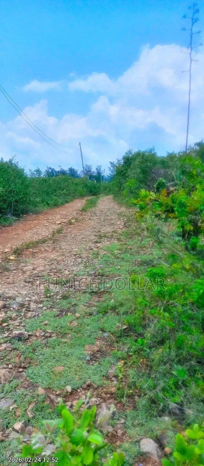 2 Acre Prime Land in Dago