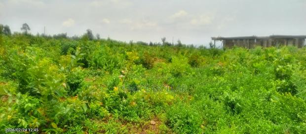 2 Acre Prime Land in Dago - thumbnail 2