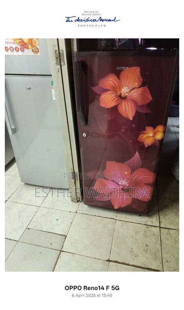 Flowered Intex Single Door Fridge - main view