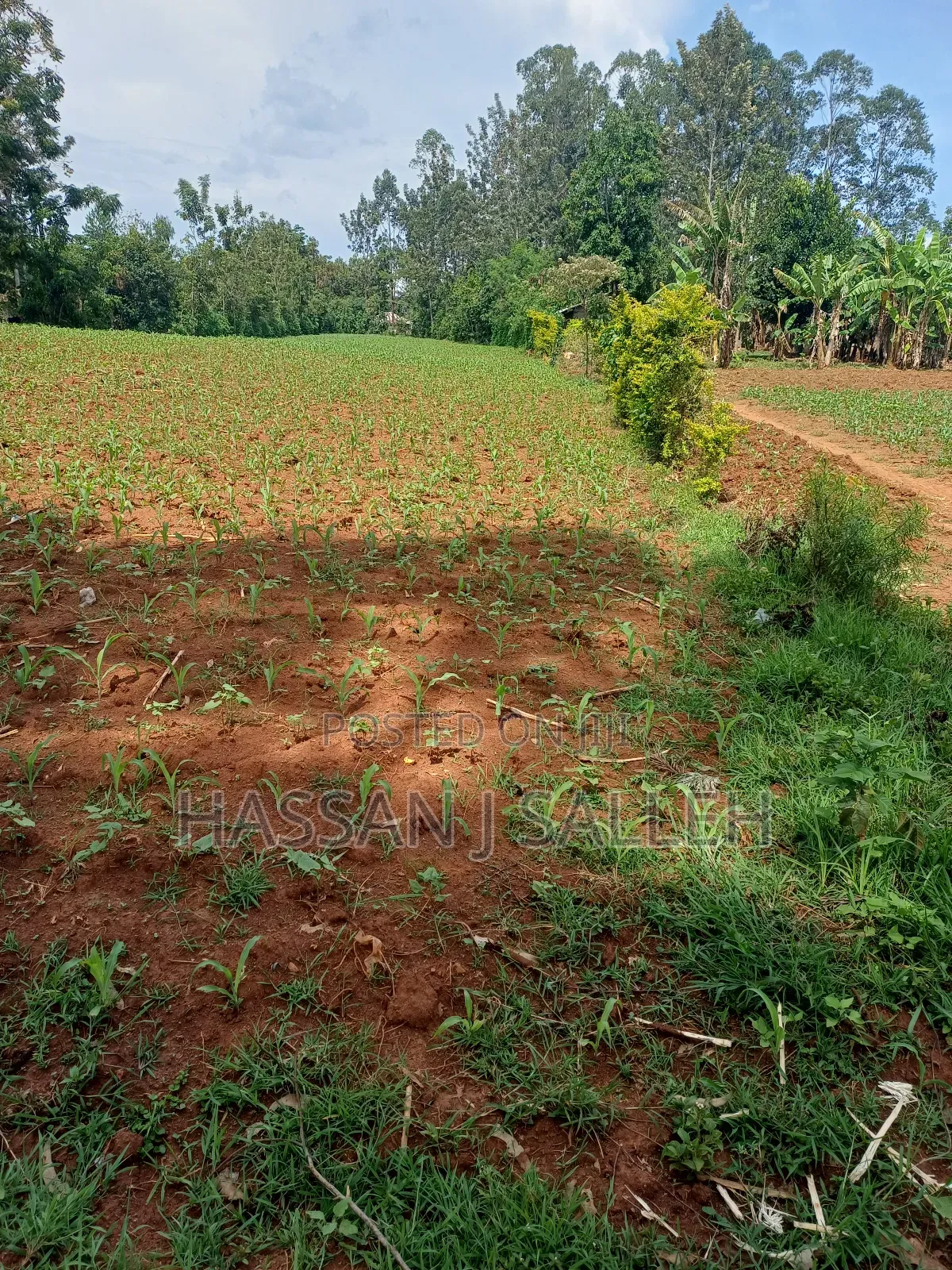 1acre Transfer Matungu.