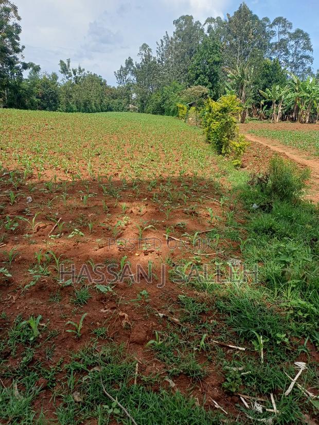 1acre Transfer Matungu. - thumbnail 4