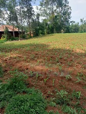 1acre Transfer Matungu.