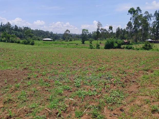 1acre Transfer Matungu. - thumbnail 6