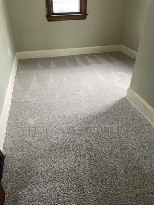 Vip Wall-to-Wall Carpet for Comfortable and Elegant Interiors