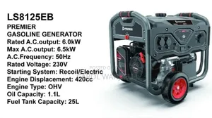 New 6.5kw Premier Gasoline Generator 420cc/6.5kw Premier Generator