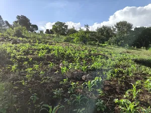 One Acre Plot for Sale in Ngong, Kahara Near Tarmac. Red Soil