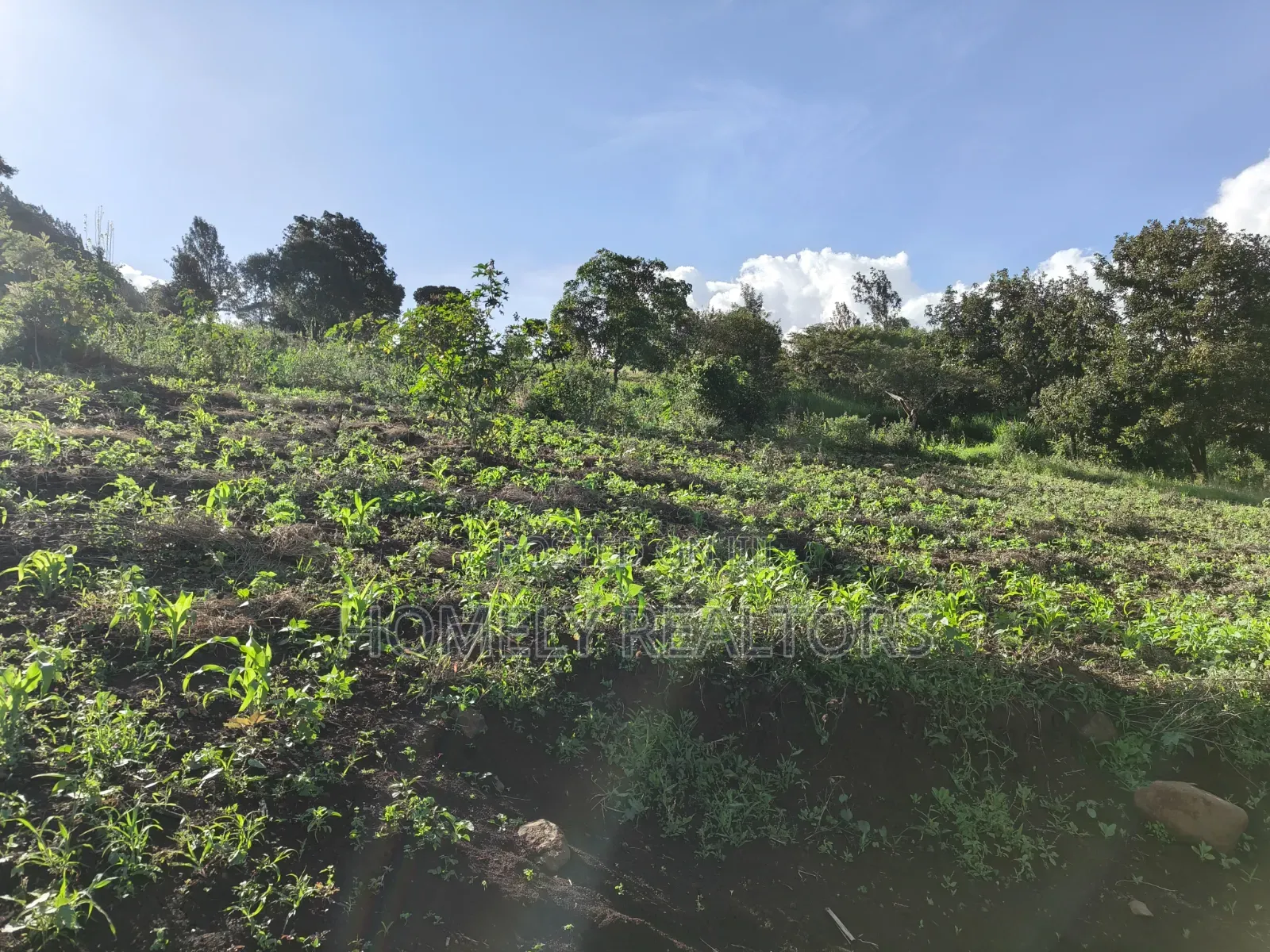 One Acre Plot for Sale in Ngong, Kahara Near Tarmac. Red Soil