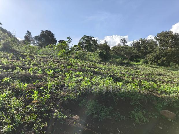 One Acre Plot for Sale in Ngong, Kahara Near Tarmac. Red Soil - thumbnail 4