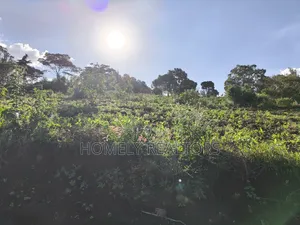 One Acre Plot for Sale in Ngong, Kahara Near Tarmac. Red Soil
