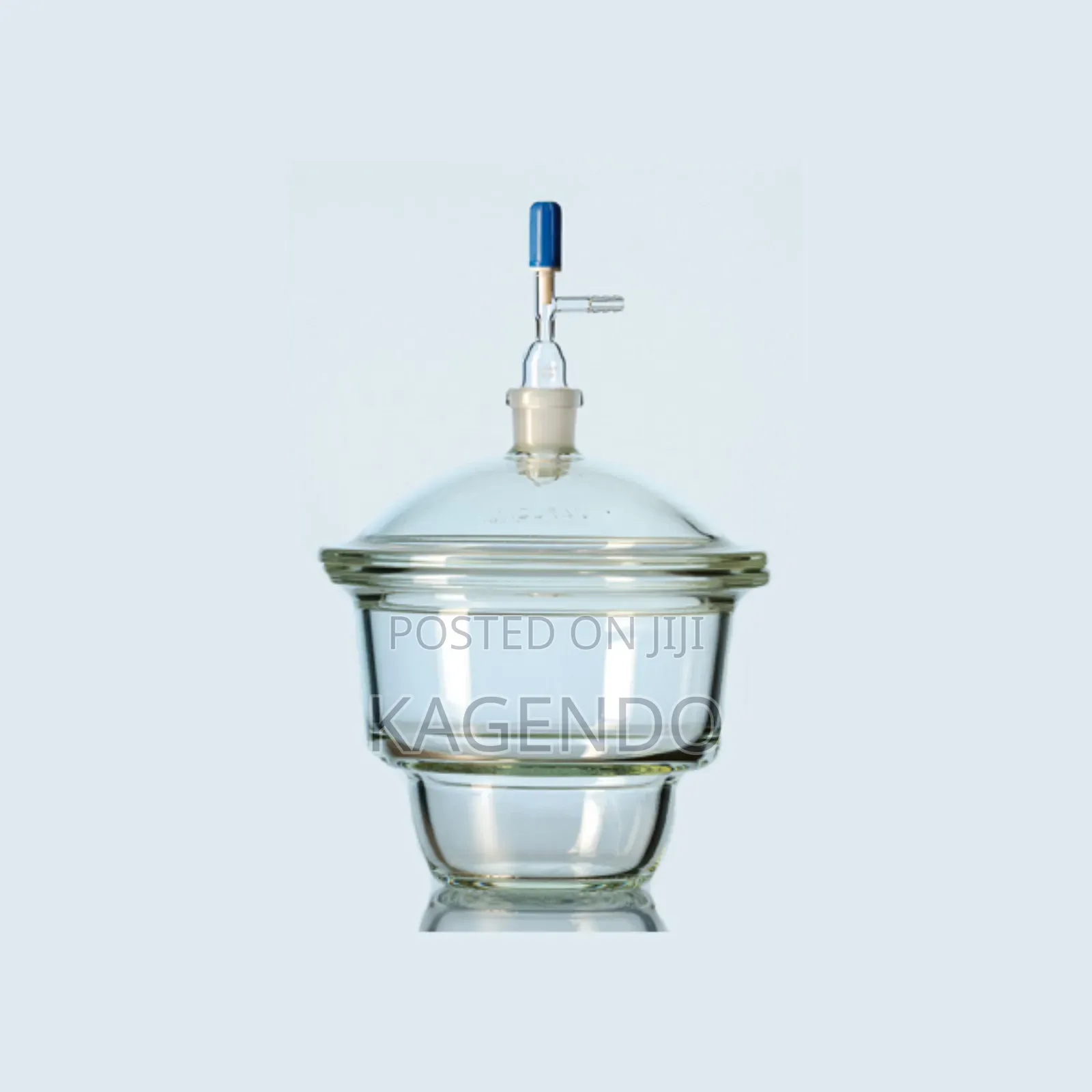 Vacuum Desiccator