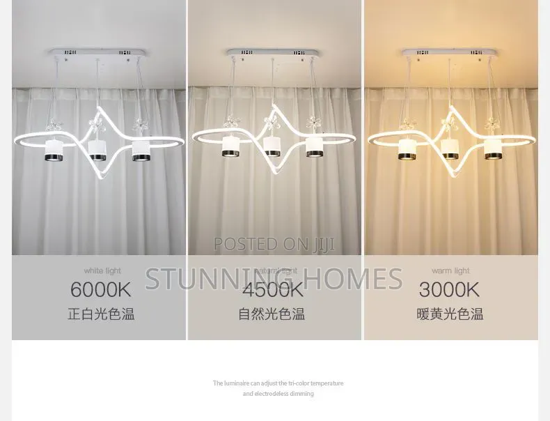 Modern Led Pendant Lights With 3 Modes