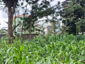 Prime Commercial Plot for Sale – Gathiga, Kabete 