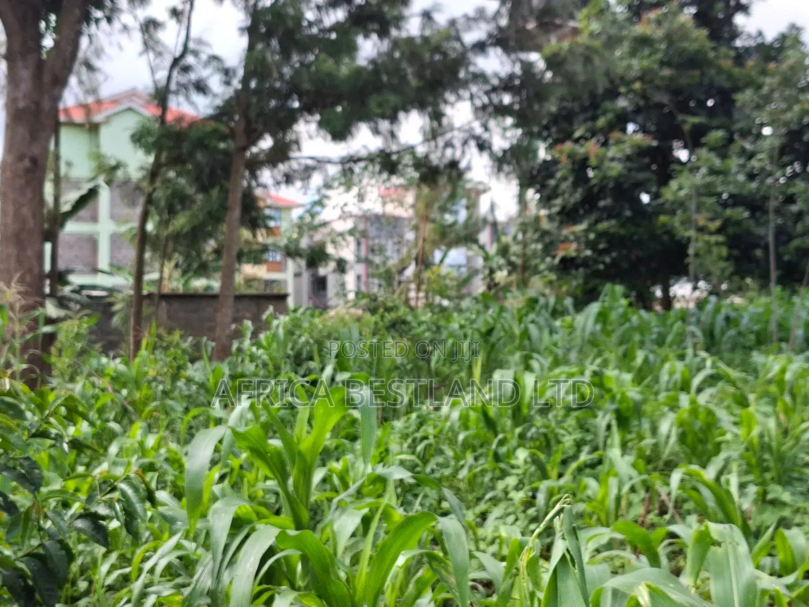 Prime Commercial Plot for Sale – Gathiga, Kabete 