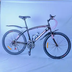 Swing Bike Size 24 Without Gears