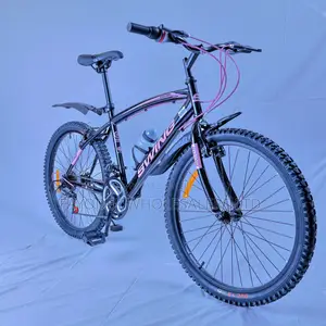 Swing Bike Size 24 Without Gears