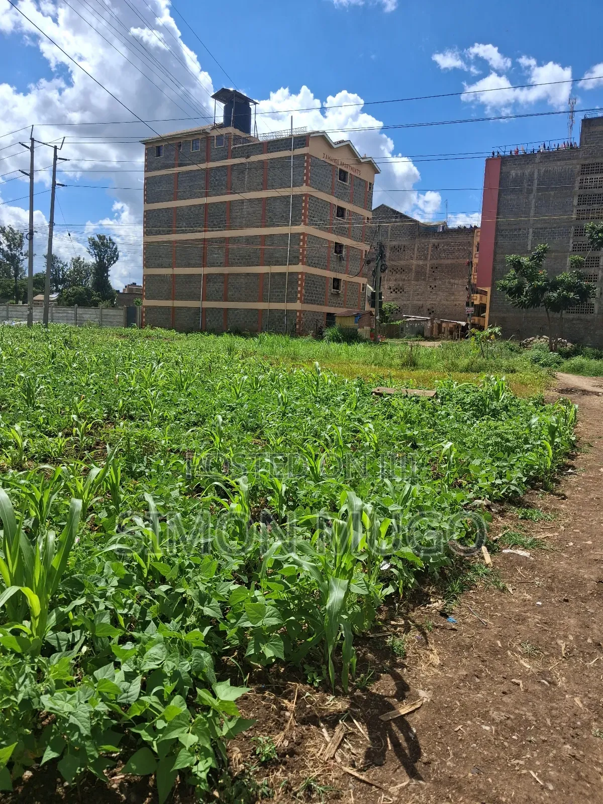 Ruiru Township Prime 1/2 Acre Behind Ruiru Campus