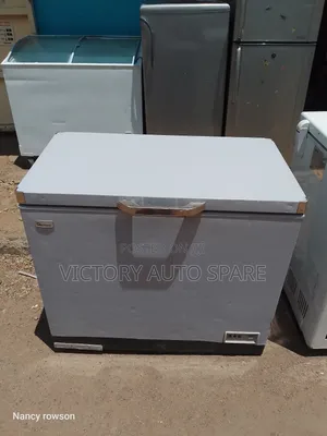 Ramtons 280litres Deep Freezer Ni