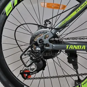 Teens Bike Tanda Mountain Bike Size 24