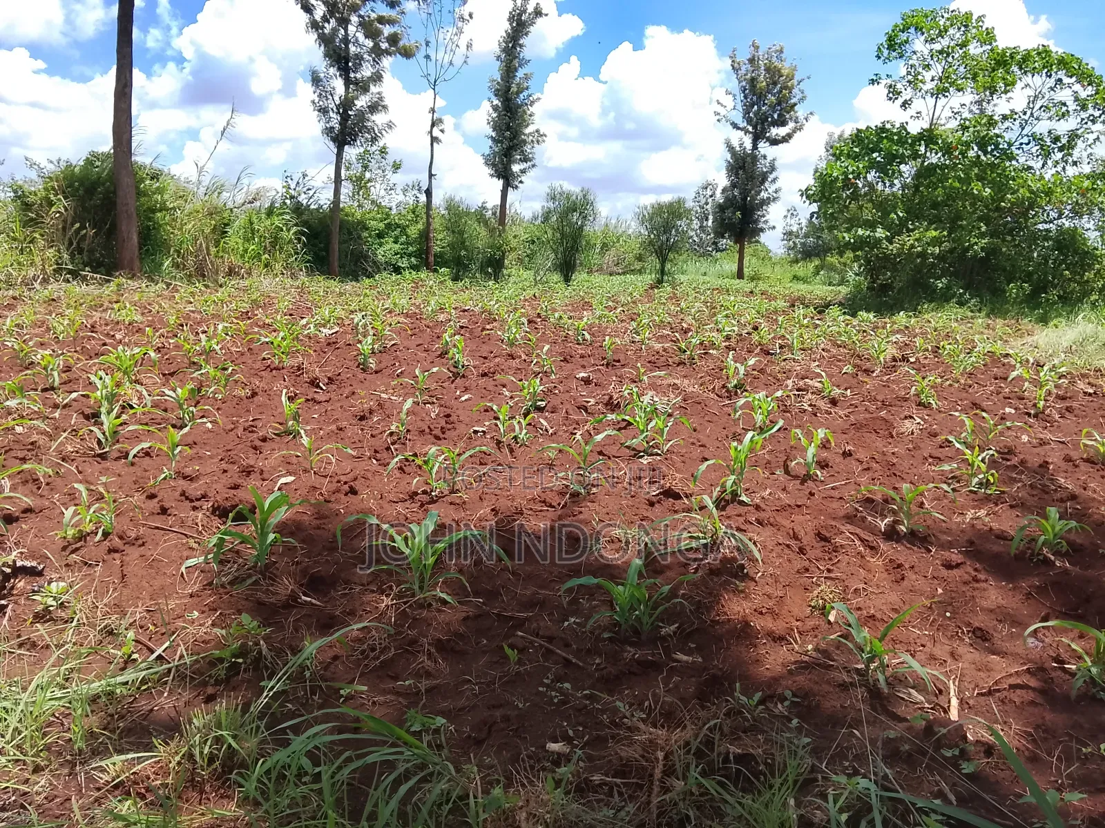 Land Property