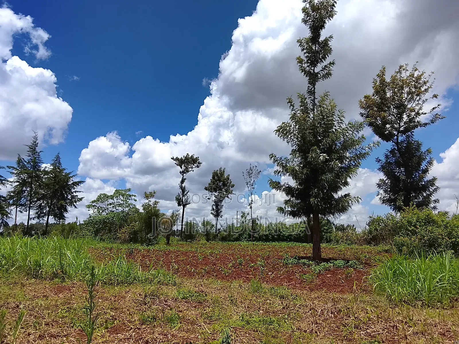 Land Property