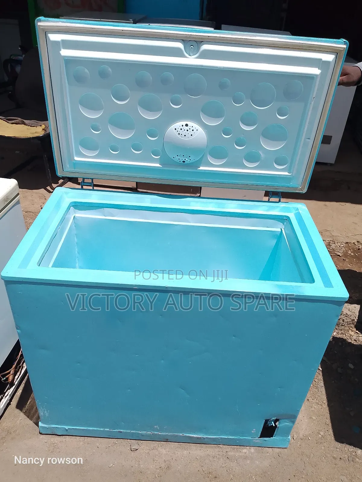 Smart Blue in Color Deep Freezer