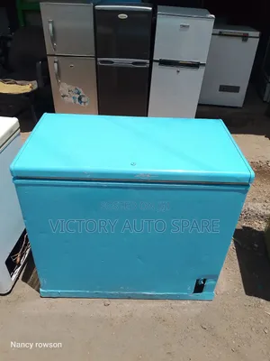 Exuk 300l Deep Freezer (Blue )
