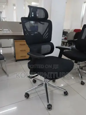 Office Chairs; High Back Orthopedic Multi Segment Office Seat