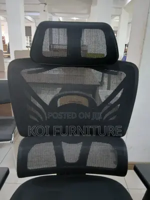 Office Chairs; High Back Orthopedic Multi Segment Office Seat
