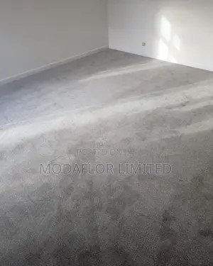 Delta Wall-to-Wall Carpet for Modern Home and Office Flooring