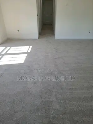 Delta Wall-to-Wall Carpet for Living Room, Bedroom and Office Use