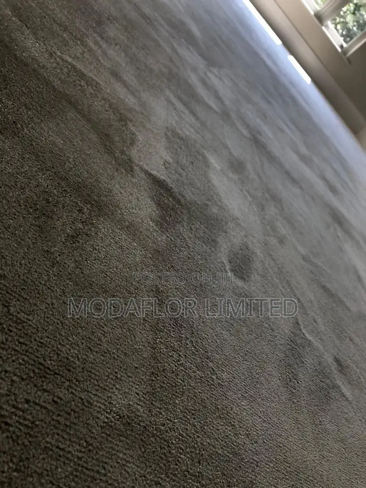 Delta Wall-to-Wall Carpet for Elegant and Professional Interiors