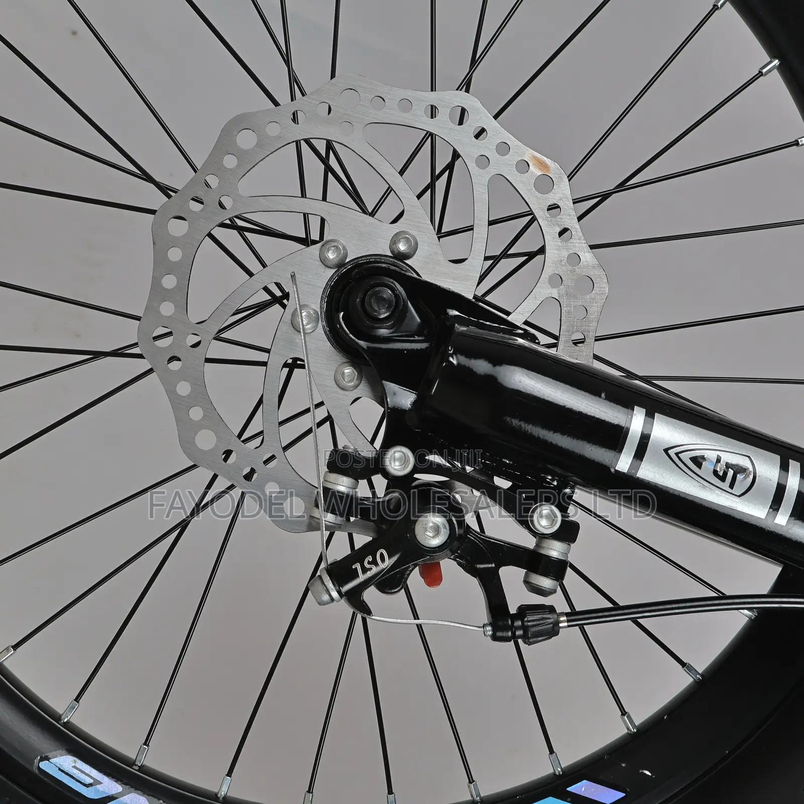 Boys/Girls Blue Fat Tire MTB - Size 20
