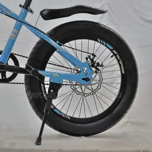 Boys/Girls Blue Fat Tire MTB - Size 20