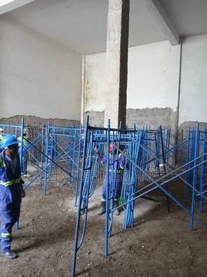High Accest Tower Scaffolding Ladder