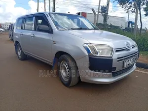 Toyota Probox 2013 Silver