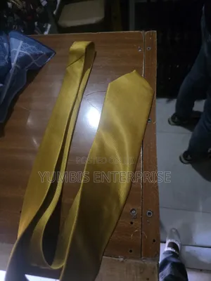 Gold Mens Neck Ties at 400