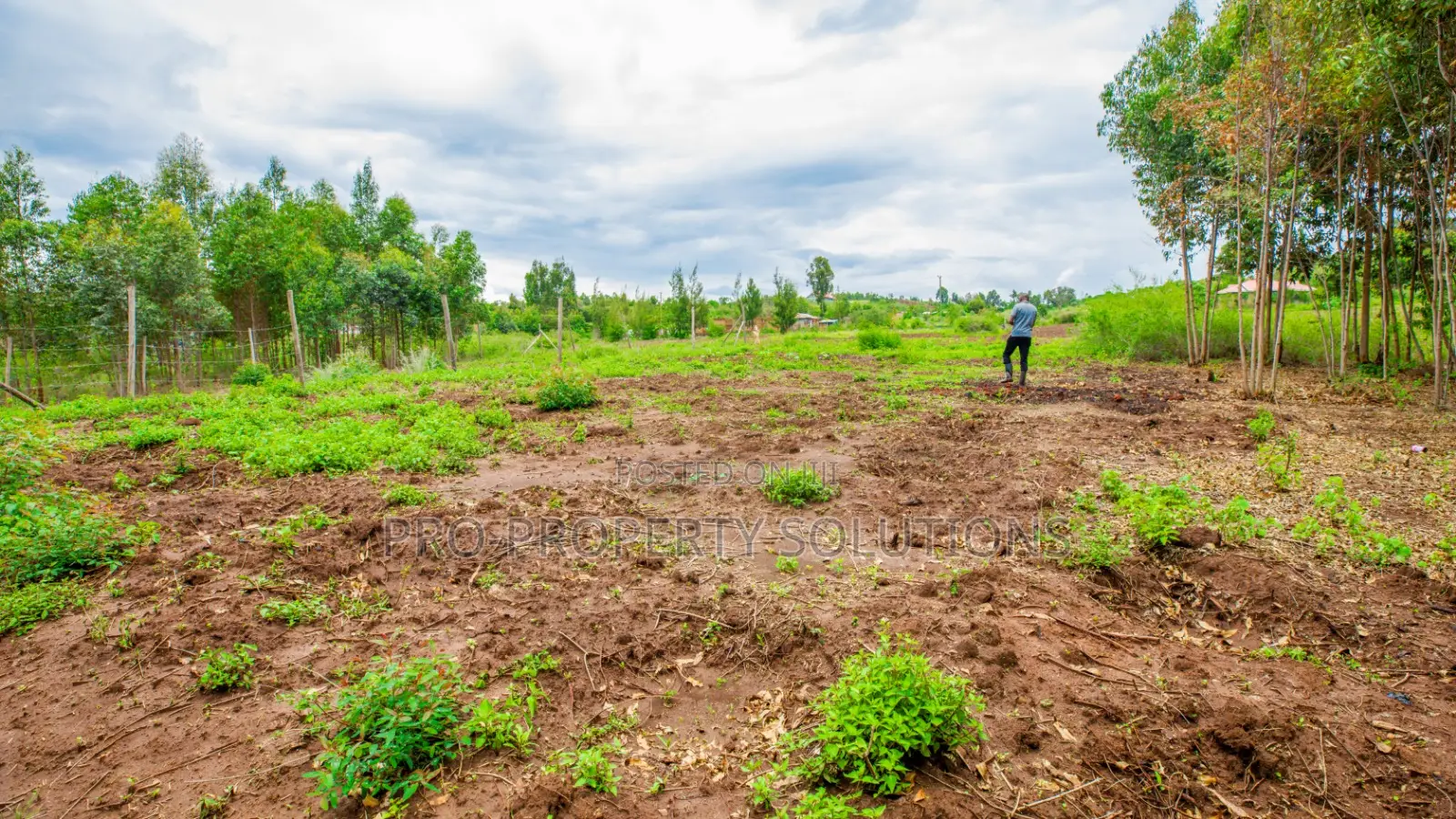 Prime Residential Plots for Sale in Kikuyu, Kamangu (Ndiguini Area)
