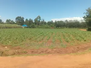 Prime Investment Opportunityplots for Sale Near Chrisco Churchkimilili
