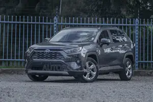 Toyota RAV4 Hybrid 2019 Gray