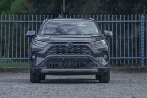 Toyota RAV4 Hybrid 2019 Gray