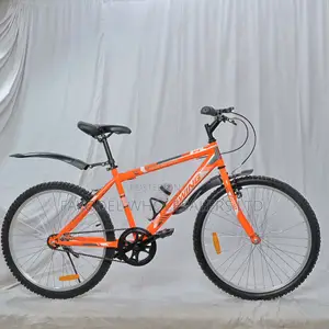 Swing Kids Bicycle 24′′ – 1 Speed, Steel Frame