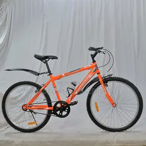 Swing Kids Bicycle 24′′ – 1 Speed, Steel Frame