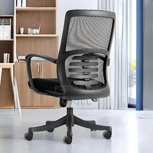 Office Chairs : Adjustable Mid-Back Executive Office Chair