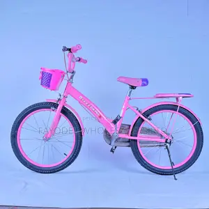 Size 20 Speed King Bicycle - Gorgeous Pink