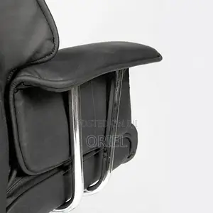 Office Chairs : Cushioned Directors Ergonomic Desk Chair