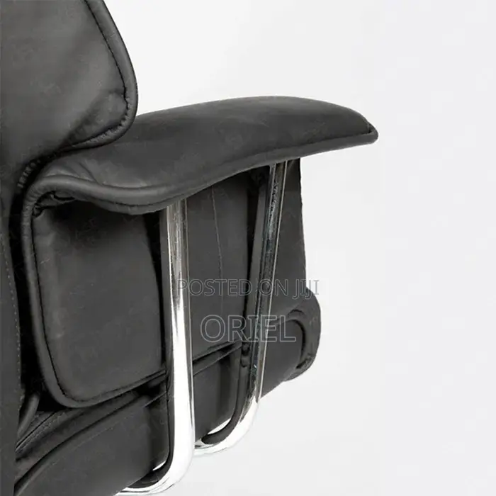 Office Chairs : Cushioned Directors Ergonomic Desk Chair