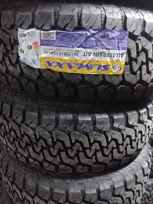 265/55r19 Sumaxx at Tyre