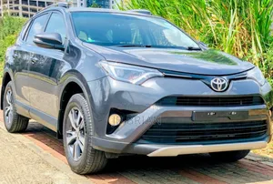 Toyota RAV4 2018 Gray